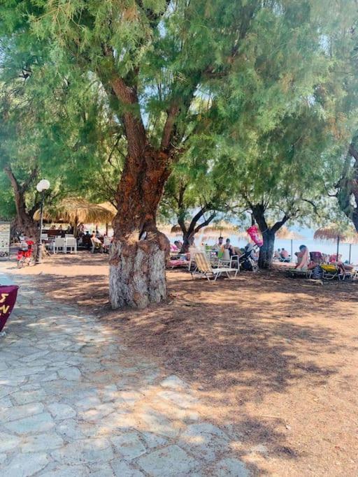 Villa ,,Sea Breeze,, - Home By The Sea Nea Anchialos Ngoại thất bức ảnh