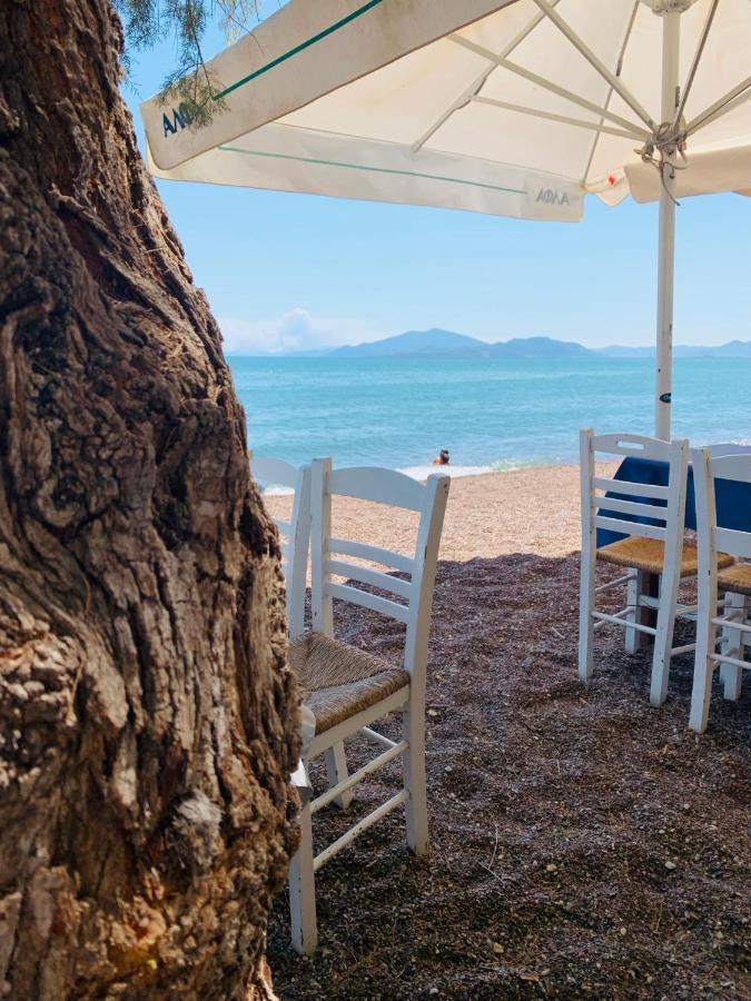 Villa ,,Sea Breeze,, - Home By The Sea Nea Anchialos Ngoại thất bức ảnh
