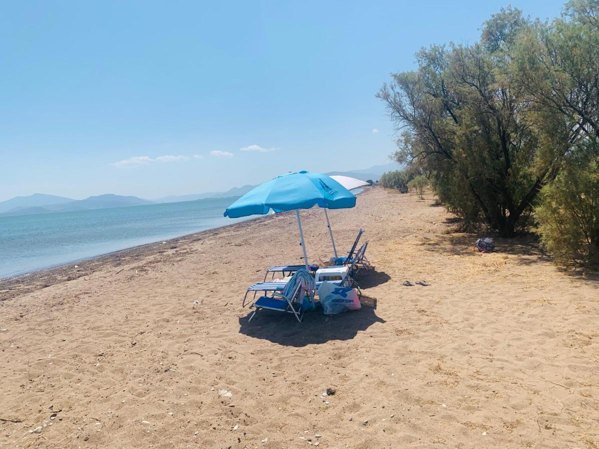 Villa ,,Sea Breeze,, - Home By The Sea Nea Anchialos Ngoại thất bức ảnh